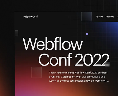 Webflow conference picture